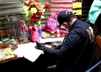 Realizan allanamientos en Livingston, Izabal