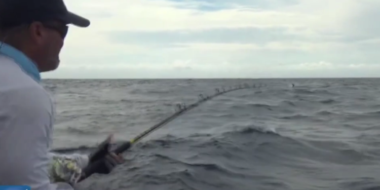 Realizan torneo de pesca deportiva en Guatemala