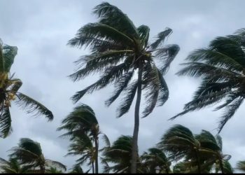 Reanudan vuelos en noreste de India tras llegada de ciclón