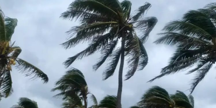 Reanudan vuelos en noreste de India tras llegada de ciclón