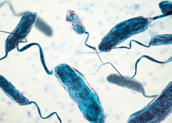 Registran un caso de cólera en la Universidad de Wuhan