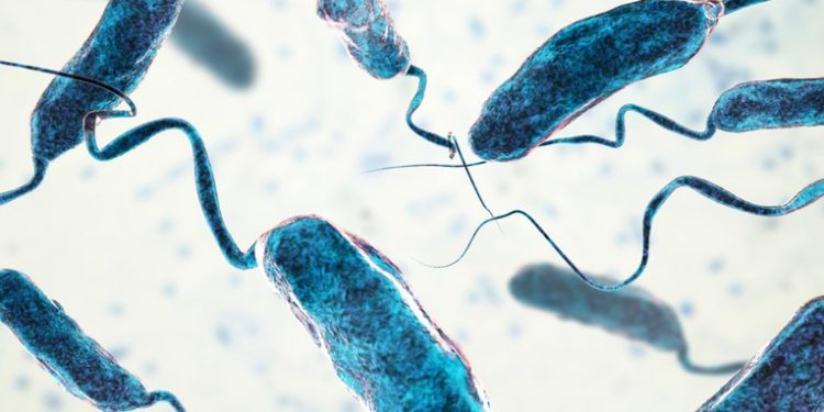 Registran un caso de cólera en la Universidad de Wuhan