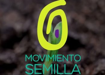 Registro de Ciudadanos notificará la suspensión temporal del partido Movimiento Semilla tras cierre del proceso electoral