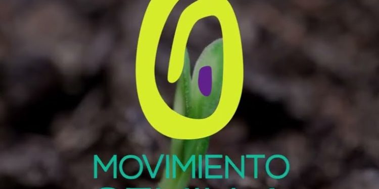 Registro de Ciudadanos notificará la suspensión temporal del partido Movimiento Semilla tras cierre del proceso electoral