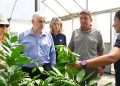 Renuncia el secretario de Agricultura de Milei