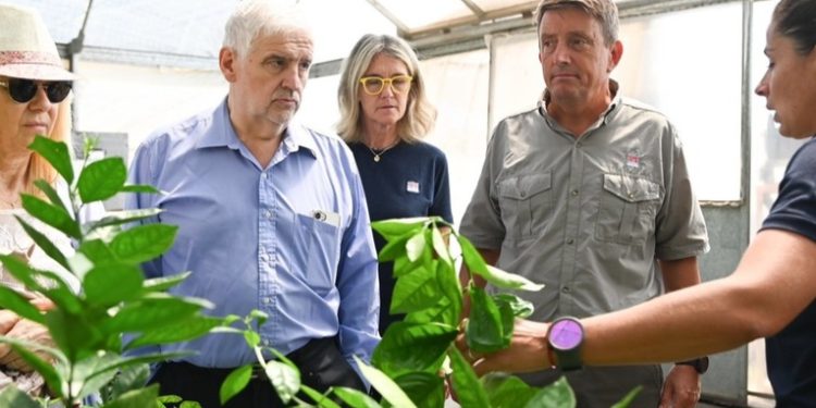 Renuncia el secretario de Agricultura de Milei