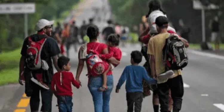 Retrasos en la entrega de información de migrantes muertos en EE. UU. y México generan preocupación