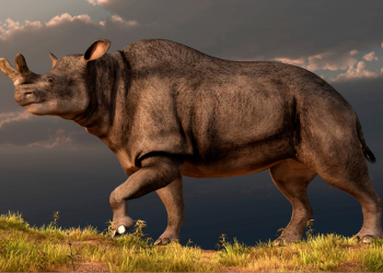 Revelan por qué algunos animales se convirtieron en gigantes tras la extinción de los dinosaurios