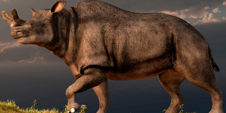 Revelan por qué algunos animales se convirtieron en gigantes tras la extinción de los dinosaurios