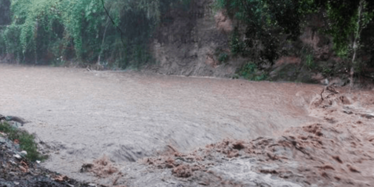 Buscan limpiar rí­o Villalobos