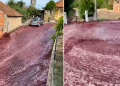 Ríos de vino inundan las calles en Portugal