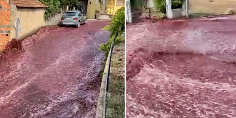 Ríos de vino inundan las calles en Portugal