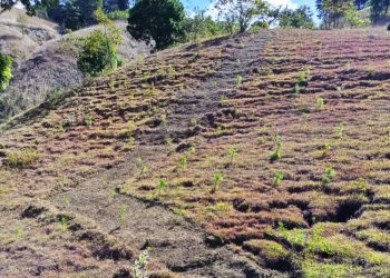 Â´Rondas contra fuegoÂ´ una iniciativa para prevenir incendios forestales
