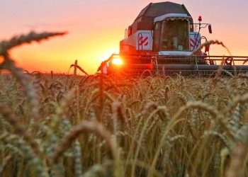 Rusia bate su récord de exportaciones de cereales
