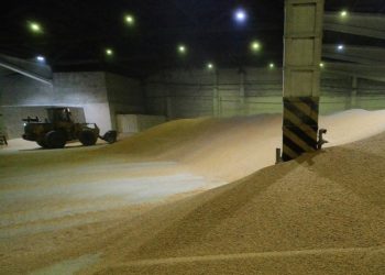 Rusia envía 25.000 toneladas de grano gratis a Eritrea