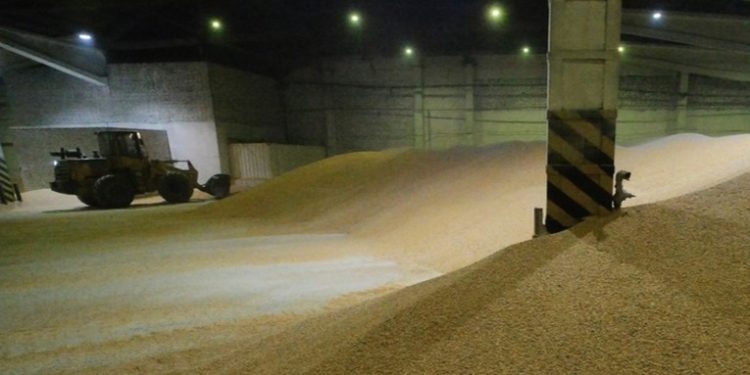 Rusia envía 25.000 toneladas de grano gratis a Eritrea