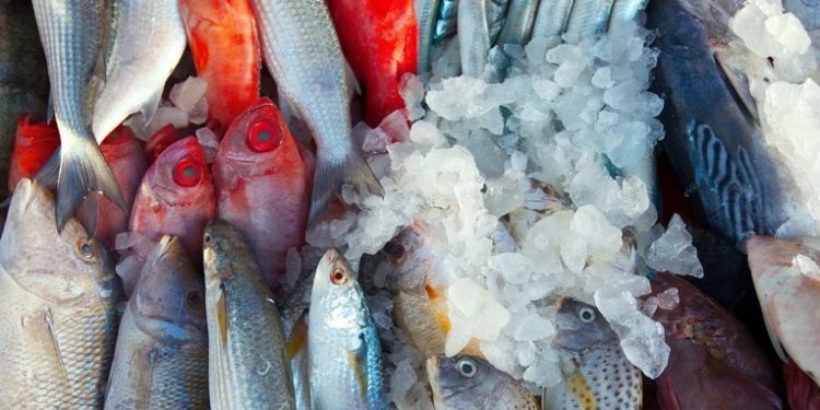 Rusia suspende las importaciones de productos marinos de Japón