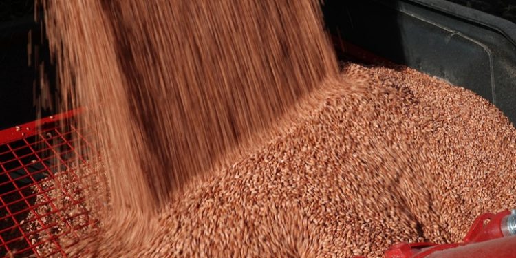 Rusia y China firman su mayor contrato para el suministro de cereales