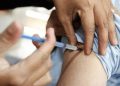 Salud analiza utilizar vacunas contra la influenza en casos de contagios de gripe aviar en humanos