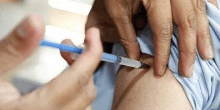 Salud analiza utilizar vacunas contra la influenza en casos de contagios de gripe aviar en humanos