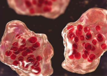 Salud Pública Refuerza Fronteras con Cordón Sanitario para Prevenir Sarampión