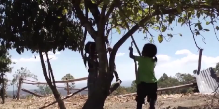 Salud reporta leve aumento de desnutrición en Sacatepéquez y Suchitepéquez