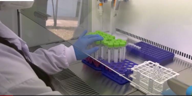 Salud teme repunte de casos por fiestas de fin de año