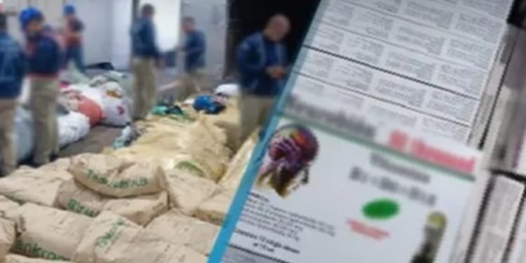 SAT incauta mercancía ilícita valorada en más de Q12 millones durante operativo en Izabal