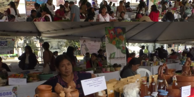 Se conmemora el Dí­a Internacional de la Mujer con marcha y distintas actividades en el paí­s