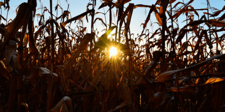 Se prevé dí­as cálidos y noches frí­as durante el transcurso de esta semana, según el INSIVUMEH