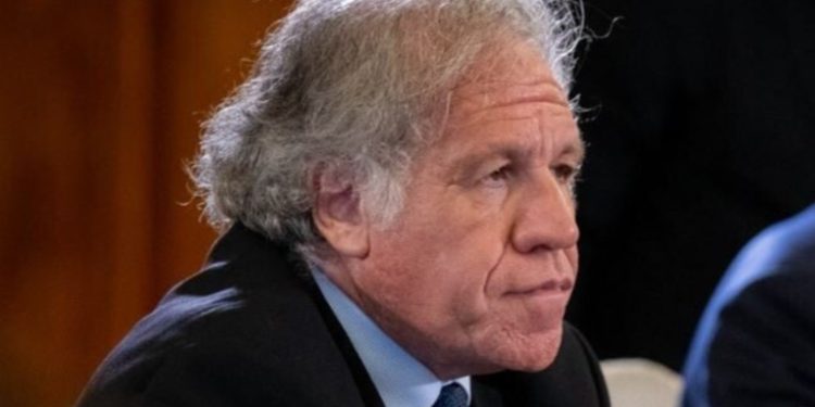 Secretario General de la OEA confirma participación en inicio de transición presidencial