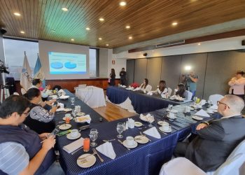 Sector privado ve positivo el desempeño económico durante el primer semestre