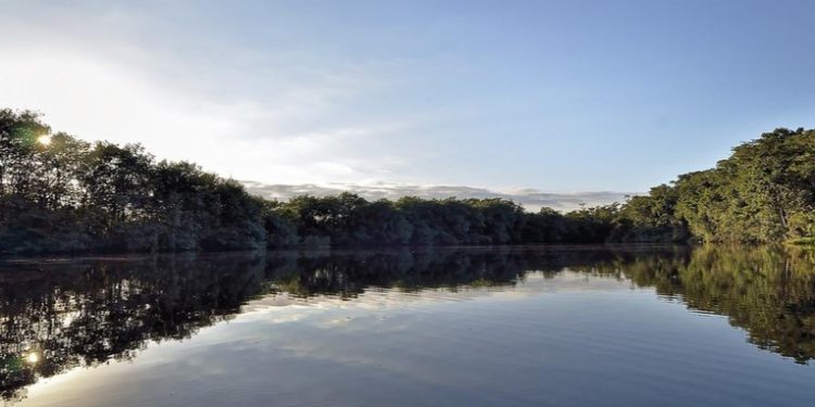 Según Ministerio de Ambiente 95% de los rí­os del paí­s están contaminados