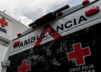 Seis muertos, más de 400 afectados y varias alertas: lo que deja la ola de calor que golpea a México