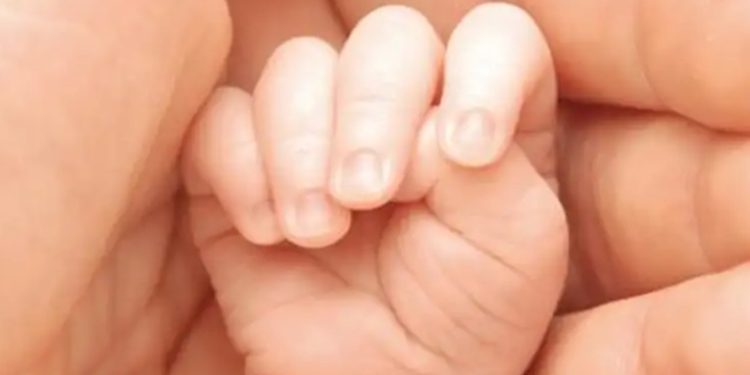 Señalan al CONAPINA tras muertes en cárceles de El Salvador