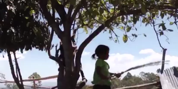 SESAN desmiente casos de desnutrición aguda en Panzós, Alta Verapaz