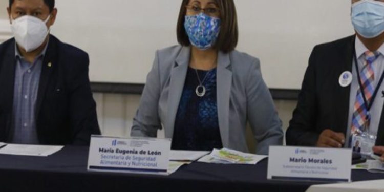 SESAN no registra despidos de personal