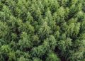 Sin prórroga para licencia ambiental: multas de Q5 mil a Q10 mil a partir del 27 de septiembre