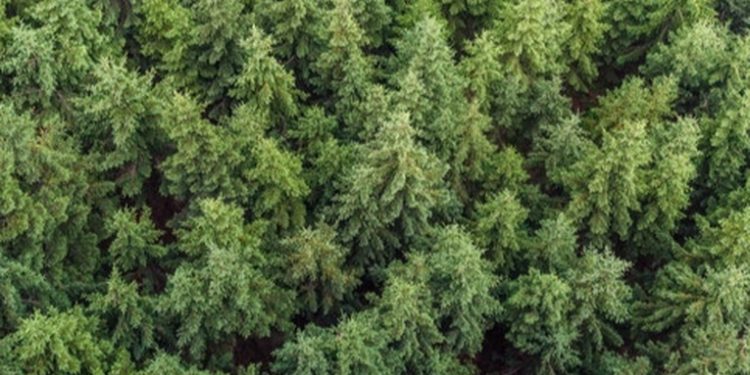 Sin prórroga para licencia ambiental: multas de Q5 mil a Q10 mil a partir del 27 de septiembre