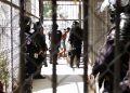 SJH pide investigar crímenes en las cárceles de El Salvador