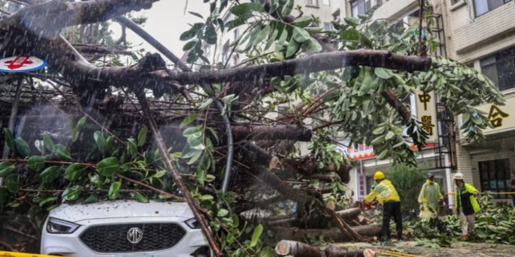 Taiwán se paraliza por el fuerte tifón Kong-rey, que deja un fallecido