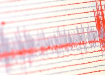 Terremoto de magnitud 7,1 causa alerta de tsunami en Japón