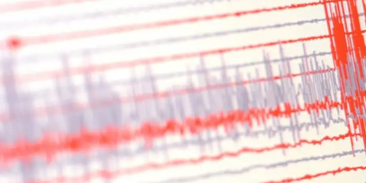 Terremoto de magnitud 7,1 causa alerta de tsunami en Japón