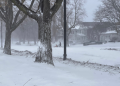 Tormenta invernal paraliza a EE.UU.: deja una veintena de muertos y cubre de hielo todo Seattle