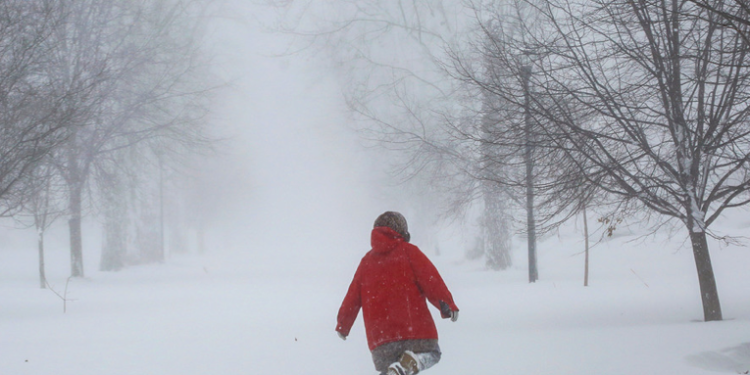 Tormenta invernal paraliza a EE.UU.: más de 30 muertes y cubre de hielo todo Seattle