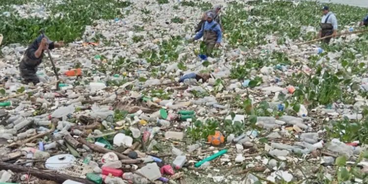 Tormentas desatan crisis ambiental: residuos y cadáveres de animales hallados en lagos de Amatitlán y Atitlán