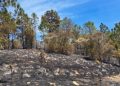 Totonicapán es el departamento con mas incendios forestales en el país