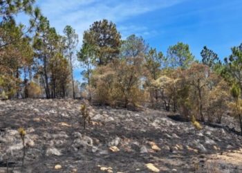 Totonicapán es el departamento con mas incendios forestales en el paí­s