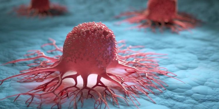 Transforman células tumorales en armas contra el cáncer