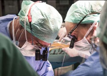 Trasplantan por primera vez en la historia un hí­gado humano conservado fuera del cuerpo durante 3 dí­as